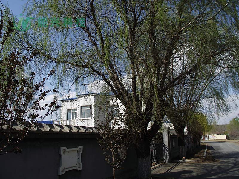 壹号娱乐 - NG大舞台,有梦你就来